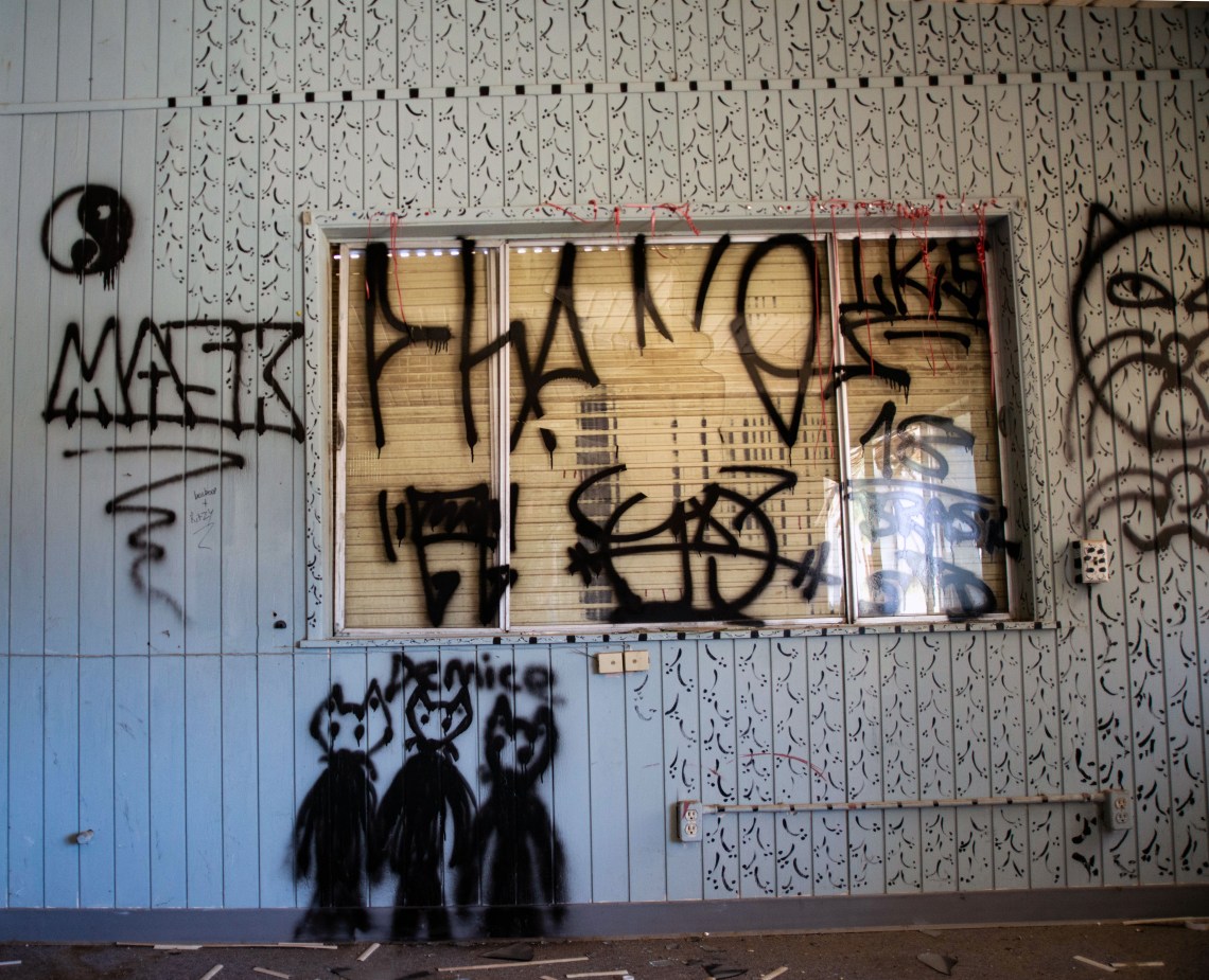 Borrego Springs Ruins 1 copy