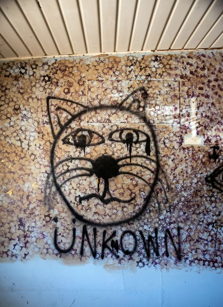 Borrego Springs Unknown-1 copy